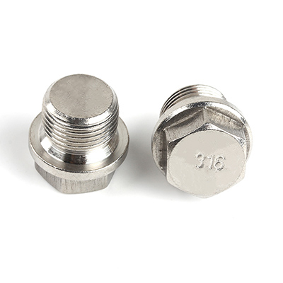 316 Stainless Steel Hexagon-duty Hexagon Head Screw Plugs