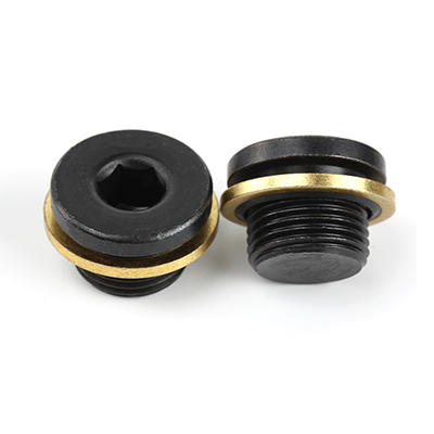 Carbon Steel Black Oxide Hexagon Socket Screw Plugs With Sealing Rings